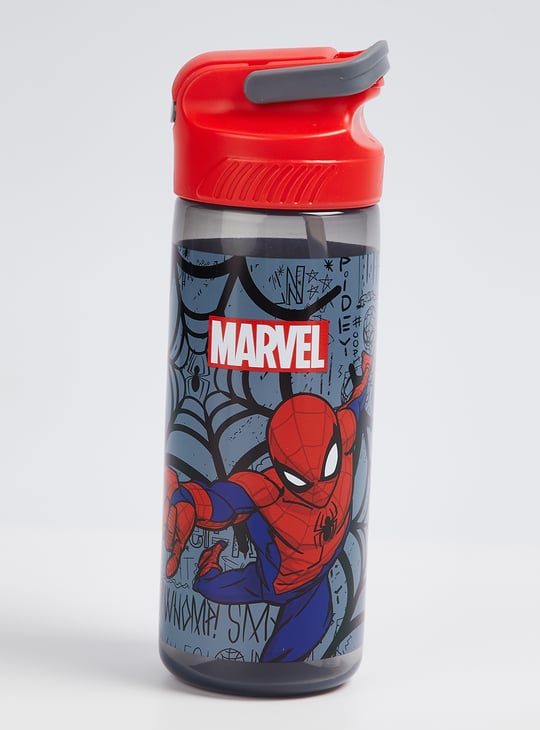 Kids Spider-Man Sipper Bottle