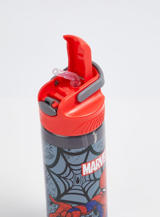 Kids Spider-Man Sipper Bottle