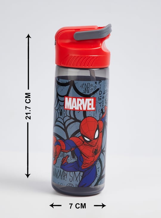 Kids Spider-Man Sipper Bottle