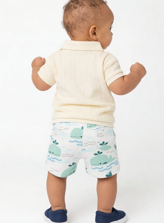 Boys Assorted Shorts - Pack of 2