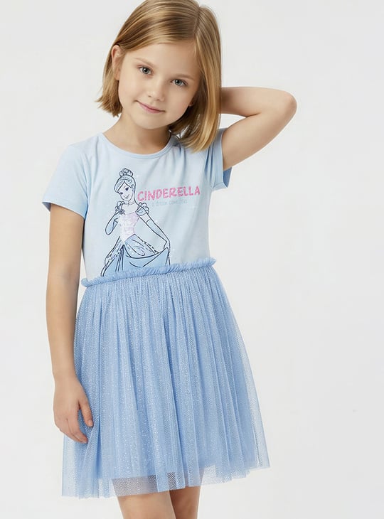 Girls Cinderella Print Tulle Dress