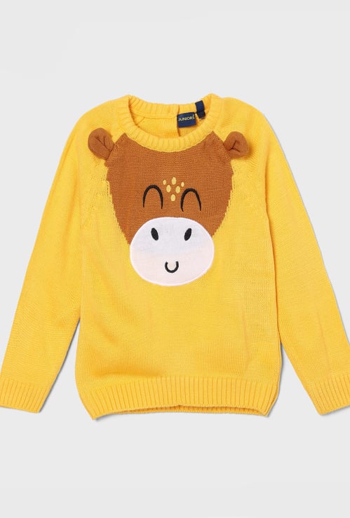 JUNIORS Boys Knitted Sweater