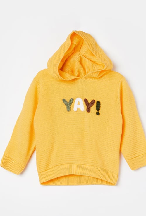 JUNIORS Boys Chenille Embroidered Hooded Sweater
