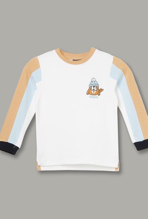 JUNIORS Boys Colourblocked Sweatshirt