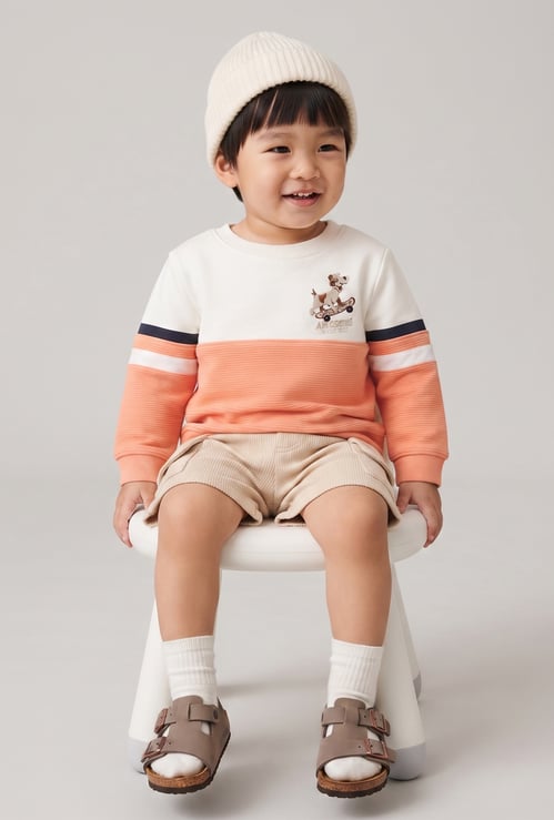 FAME FOREVER Boys Colourblocked Sweatshirt