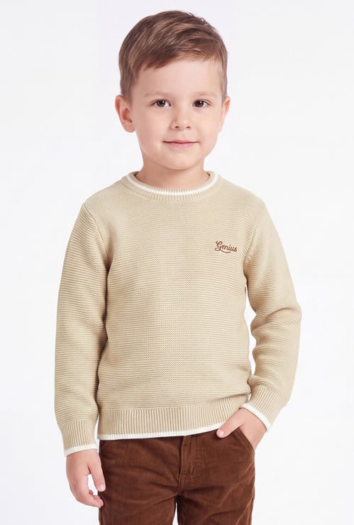 FAME FOREVER Boys Solid Sweater