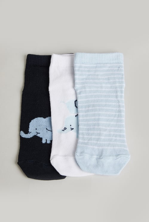 FAME FOREVER Boys Knitted Ankle Length Socks - Pack of 3