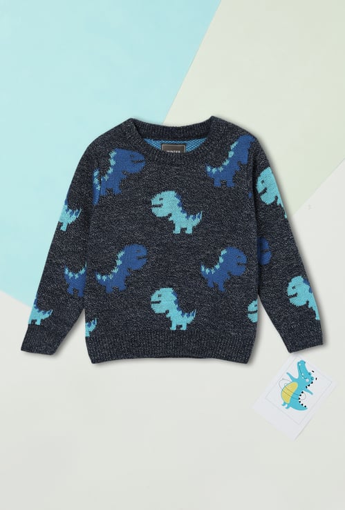 Boys Printed Sweater
