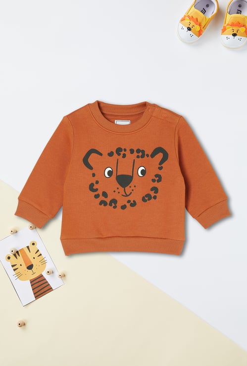 Boys Graphic Printed Sweatshirt