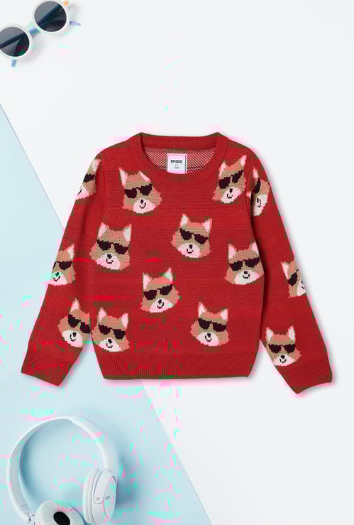 Boys Printed Sweater