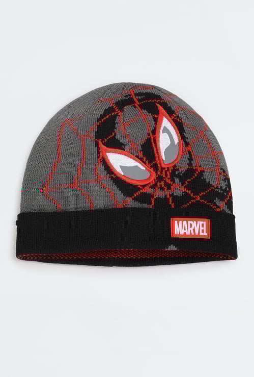 Boys Spiderman Beanie