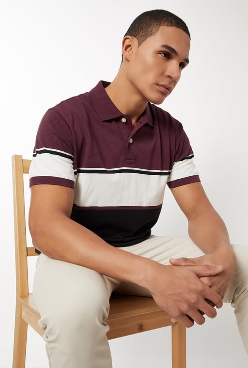 Men Colourblock Regular Fit Polo T-shirt