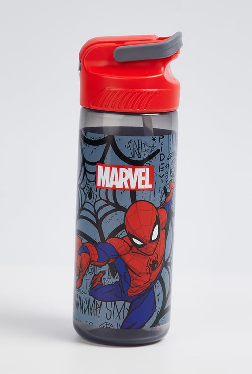 Kids Spider-Man Sipper Bottle