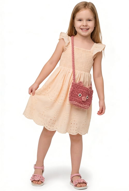 Girls Schiffli Embroidered Dress