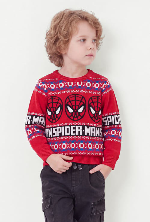 Boys Spiderman Sweater