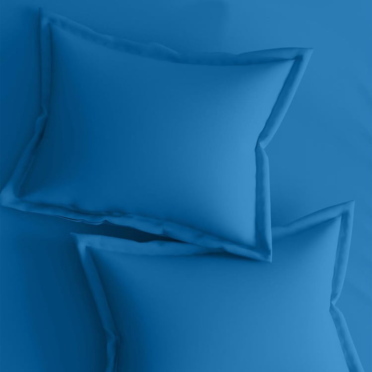 PORTICO Shades Cotton 3Pcs Super King Bedsheet Set
