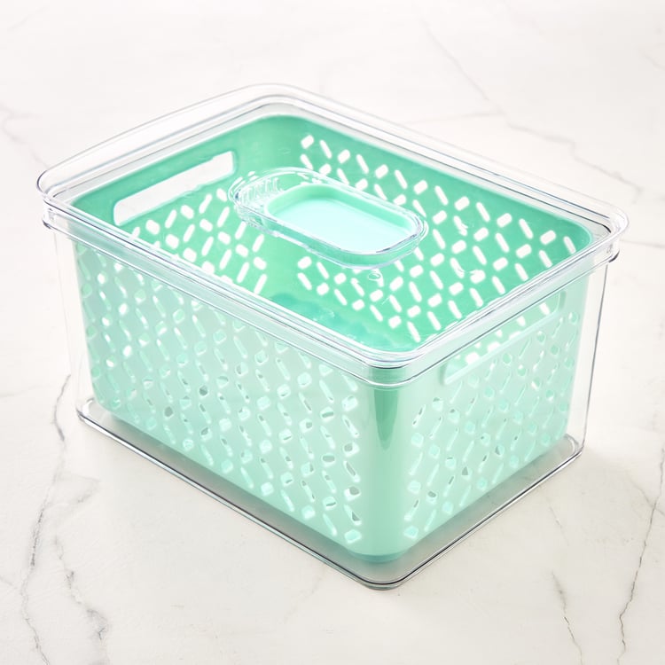 Orion Elfin PET Storage Basket with Lid