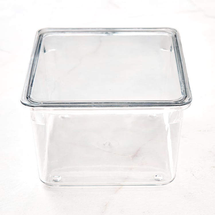 Orion Elfin PET Fridge Storage Box with Lid