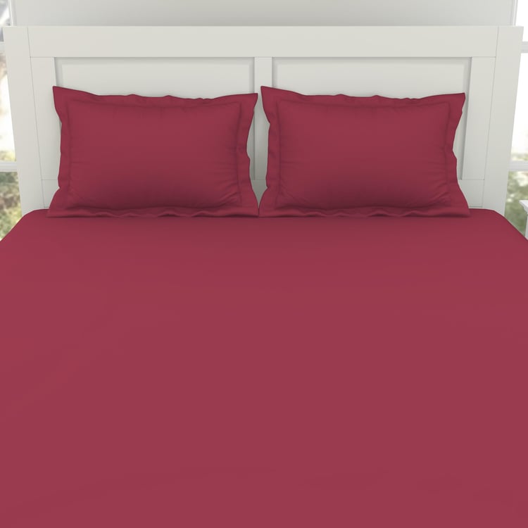 SPACES Everyday Essentials Cotton 144TC 3Pcs King Fitted Bedsheet Set