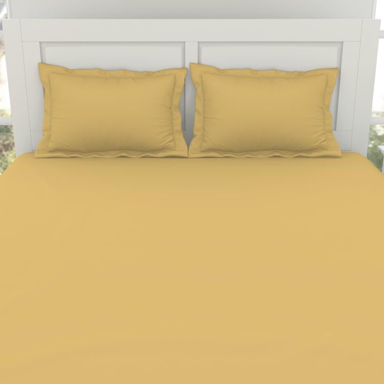 SPACES Everyday Essentials Cotton 144TC 3Pcs King Fitted Bedsheet Set