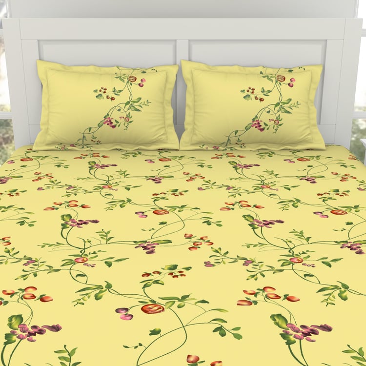 SPACES Lattice Cotton 144TC Printed 3Pcs King Fitted Bedsheet Set