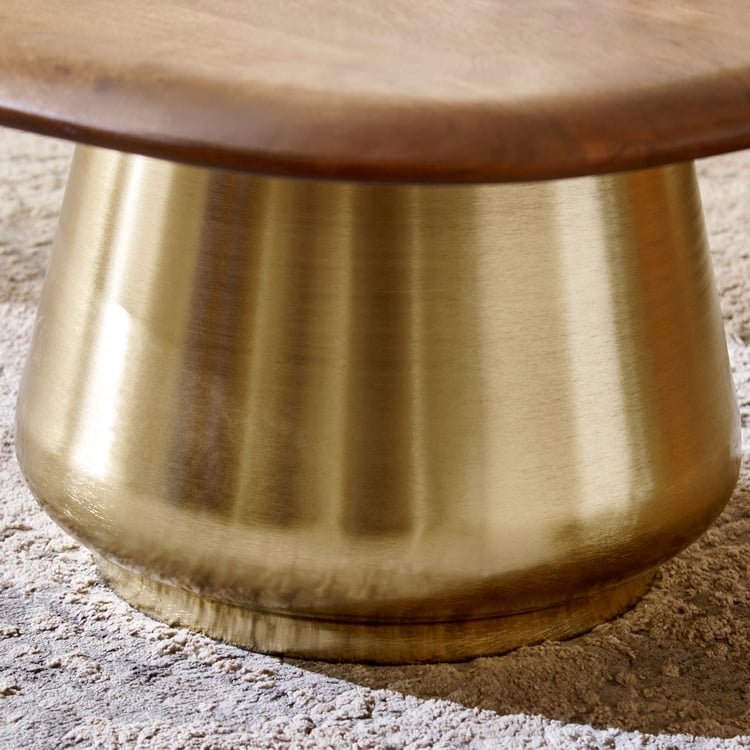 Wells Mango Wood Top Coffee Table - Brown