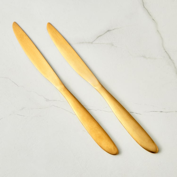 Glister Arely Set of 2 Stainless Steel Dessert Knives