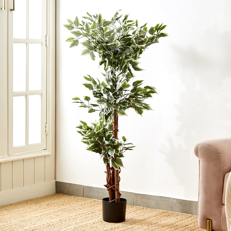 Gardenia Ville Artificial Ficus Tree in Pot - 125cm