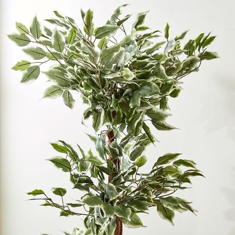 Gardenia Ville Artificial Ficus Tree in Pot - 125cm