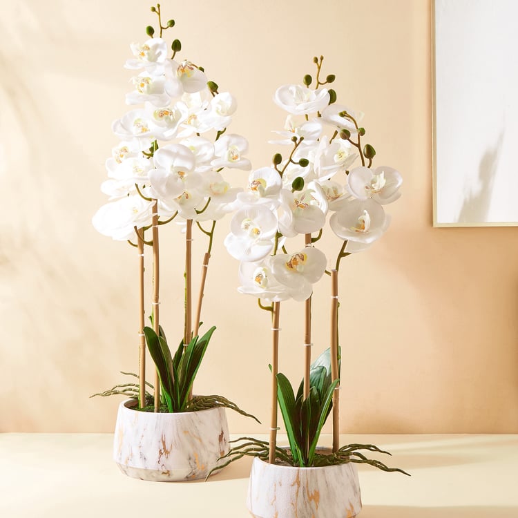 Gloria Orchids Artificial Flowers in Pot