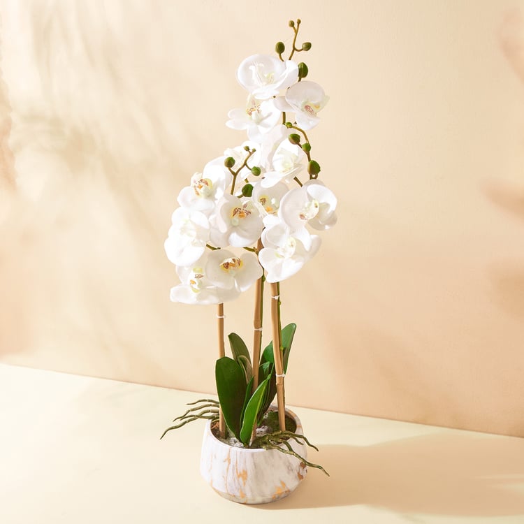 Gloria Orchids Artificial Flowers in Pot