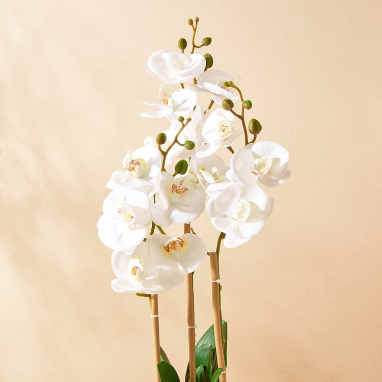 Gloria Orchids Artificial Flowers in Pot