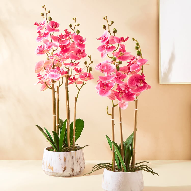 Gloria Orchids Artificial Flowers in Pot