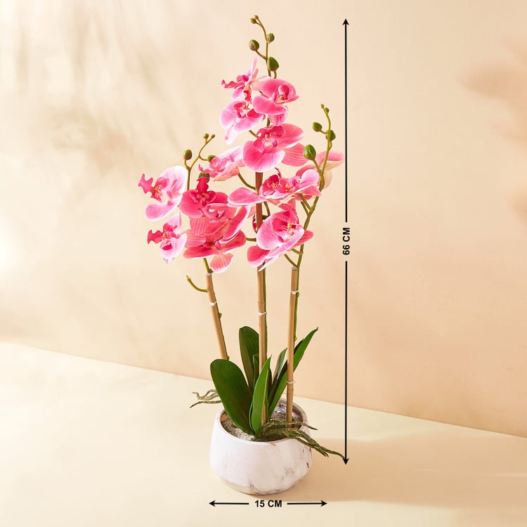 Gloria Orchids Artificial Flowers in Pot