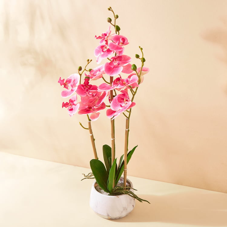 Gloria Orchids Artificial Flowers in Pot