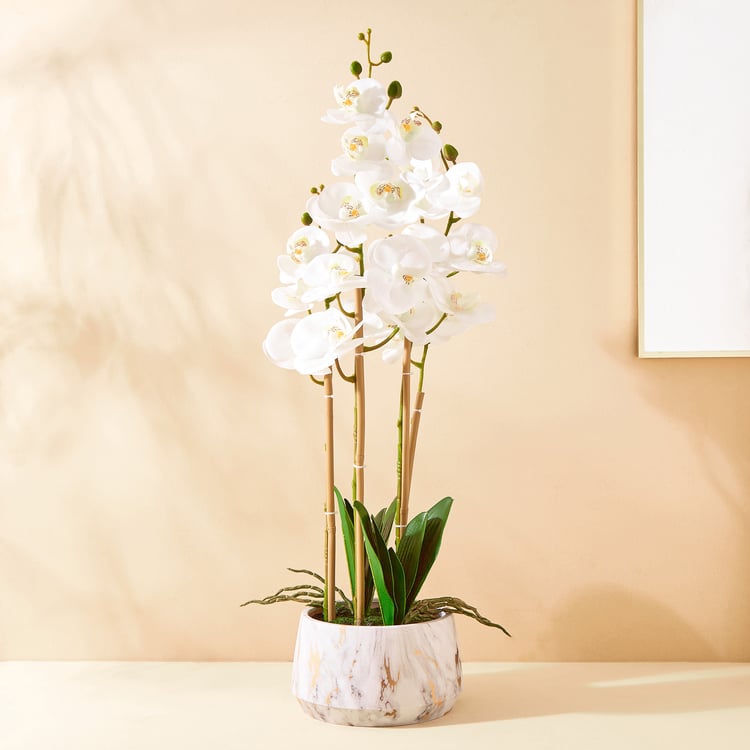 Gloria Orchids Artificial Plant in Pot