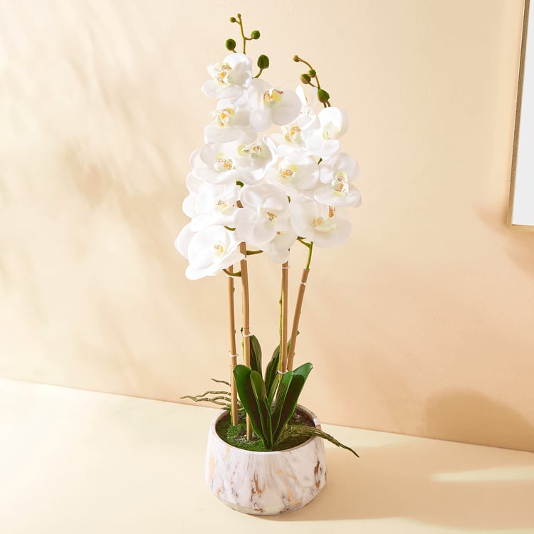 Gloria Orchids Artificial Plant in Pot