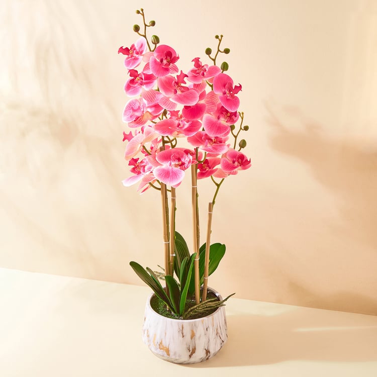 Gloria Orchids Artificial Flower in Pot