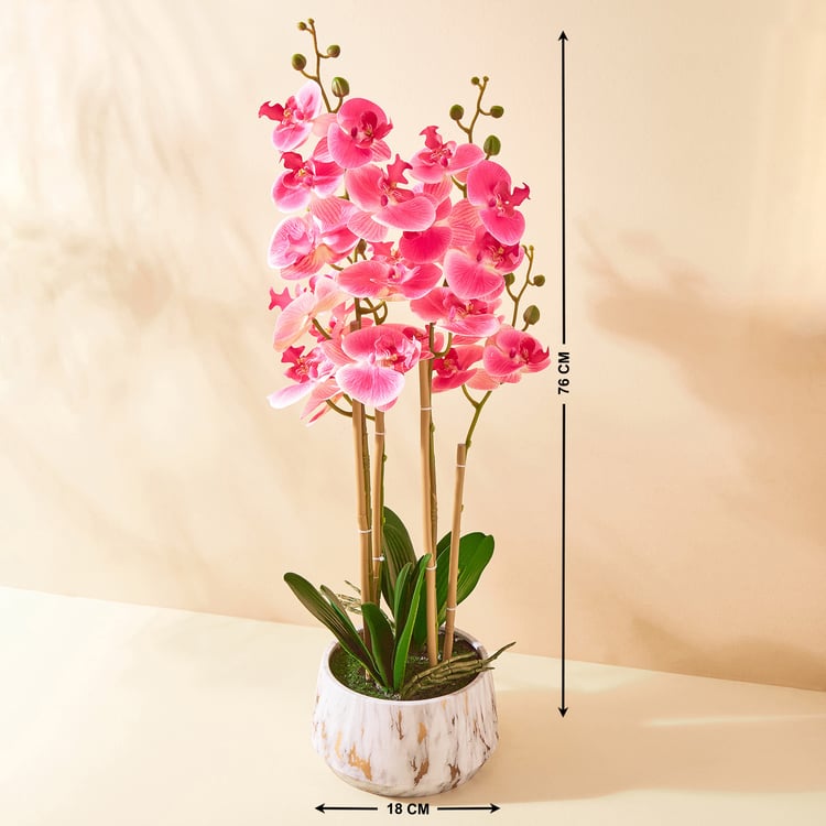 Gloria Orchids Artificial Flower in Pot