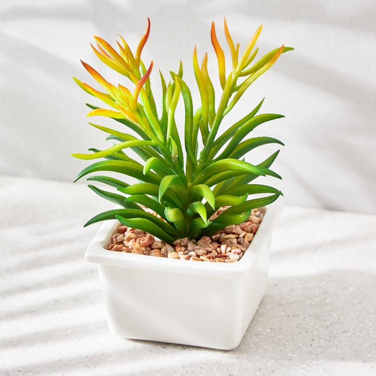 Fiesta Artificial Plant in Ceramic Pot