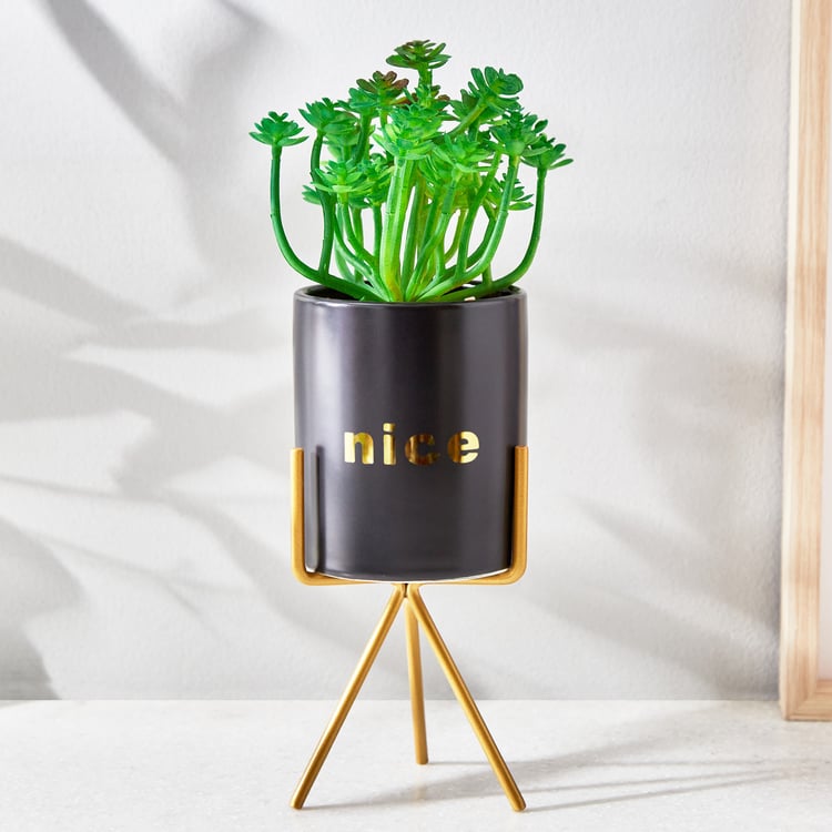 Fiesta Artificial Plant in Ceramic Pot