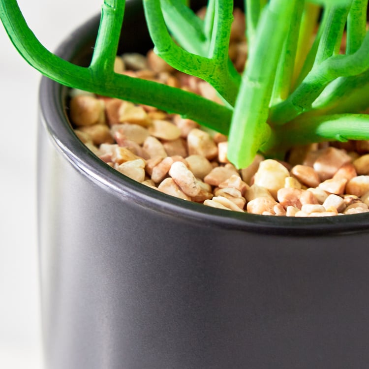 Fiesta Artificial Plant in Ceramic Pot