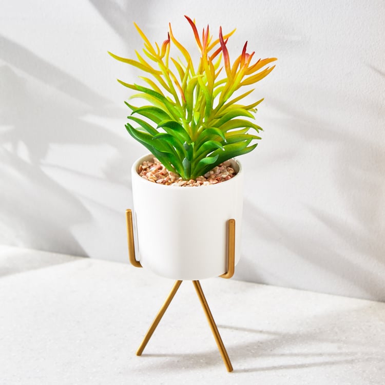 Buy Fiesta Artificial Plant in Ceramic Pot from Home Centre at just INR