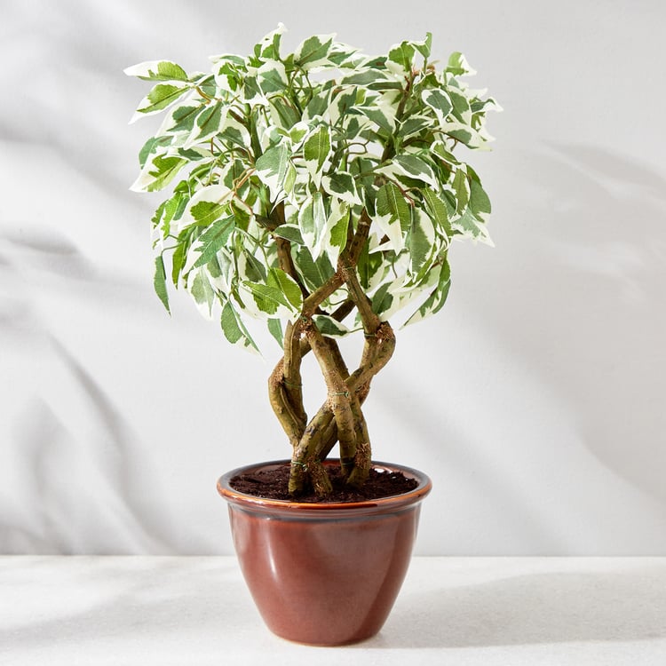 Fiesta Artificial Plant in Ceramic Pot