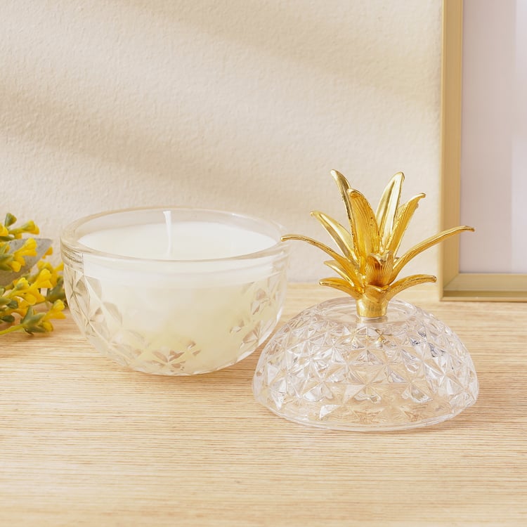 Redolence Mojitos in Male Fresh Lime Scented Jar Candle
