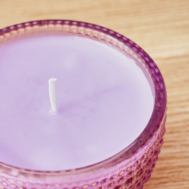 Redolence Lavender Scented Butterfly Jar Candle