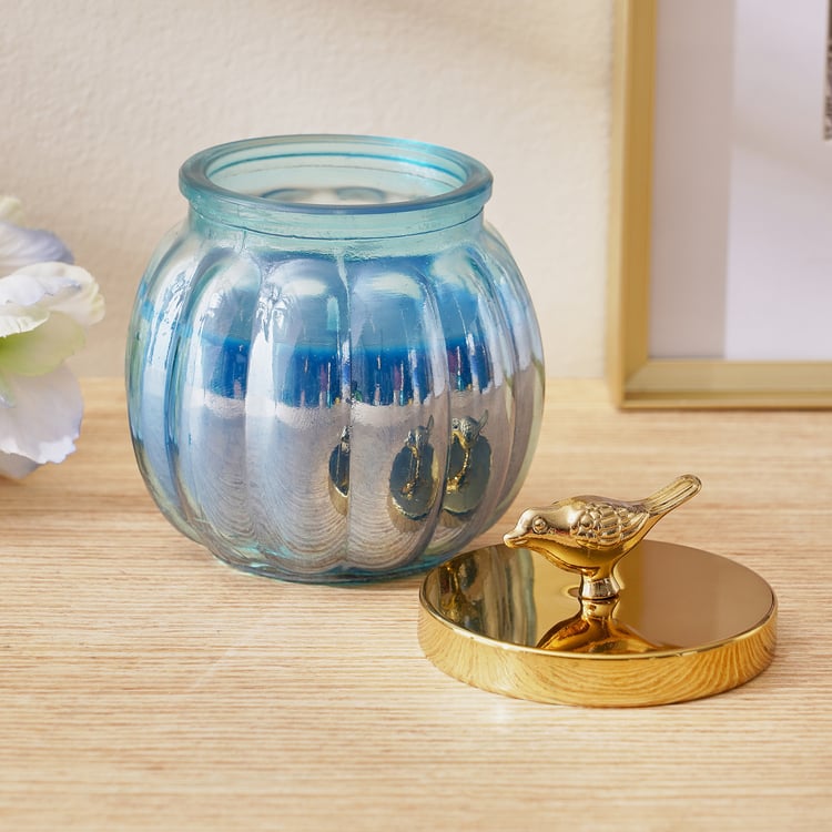 Redolence Egyptian Blue Cotton Linen Scented Bird Jar Candle