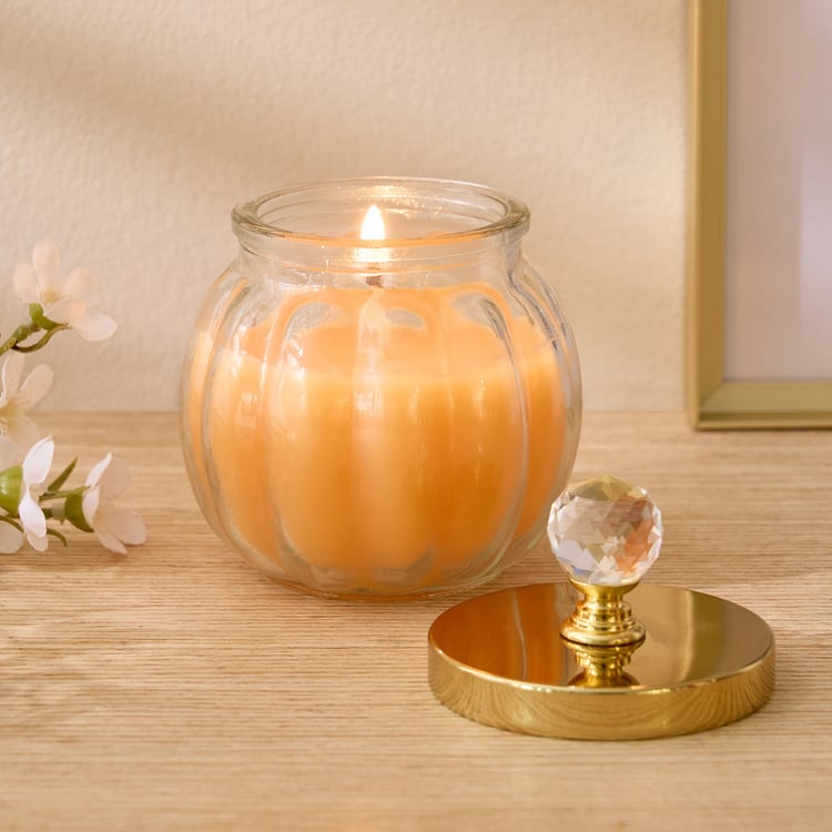 Redolence Ceylon Brew Cinnamon Scented Jar Candle