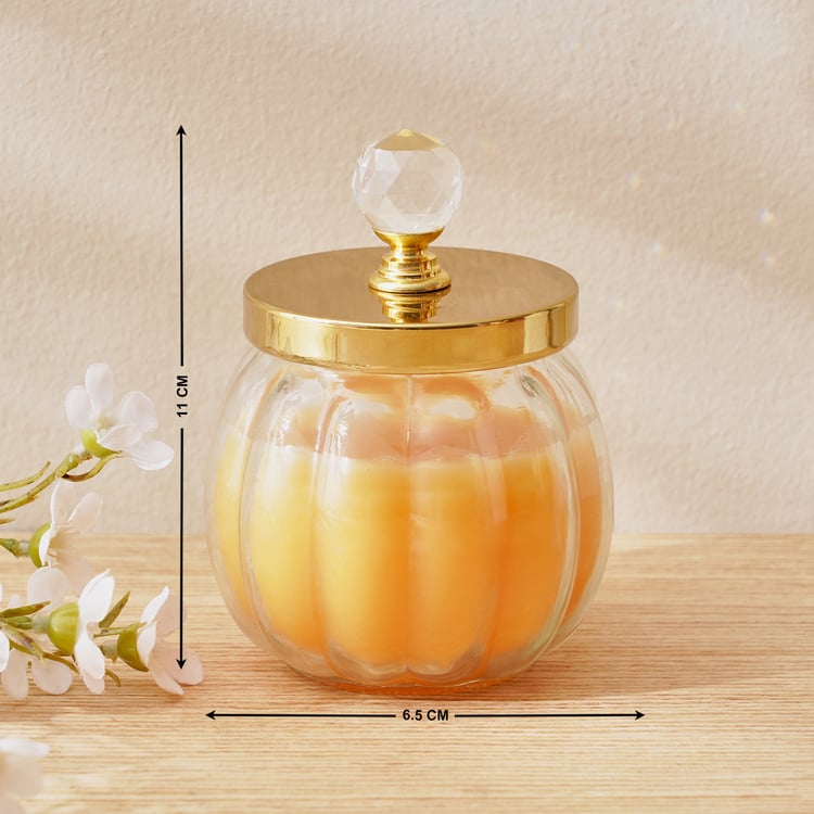 Redolence Ceylon Brew Cinnamon Scented Jar Candle