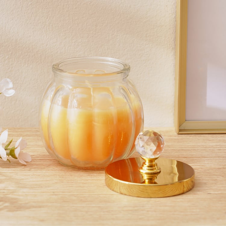 Redolence Ceylon Brew Cinnamon Scented Jar Candle